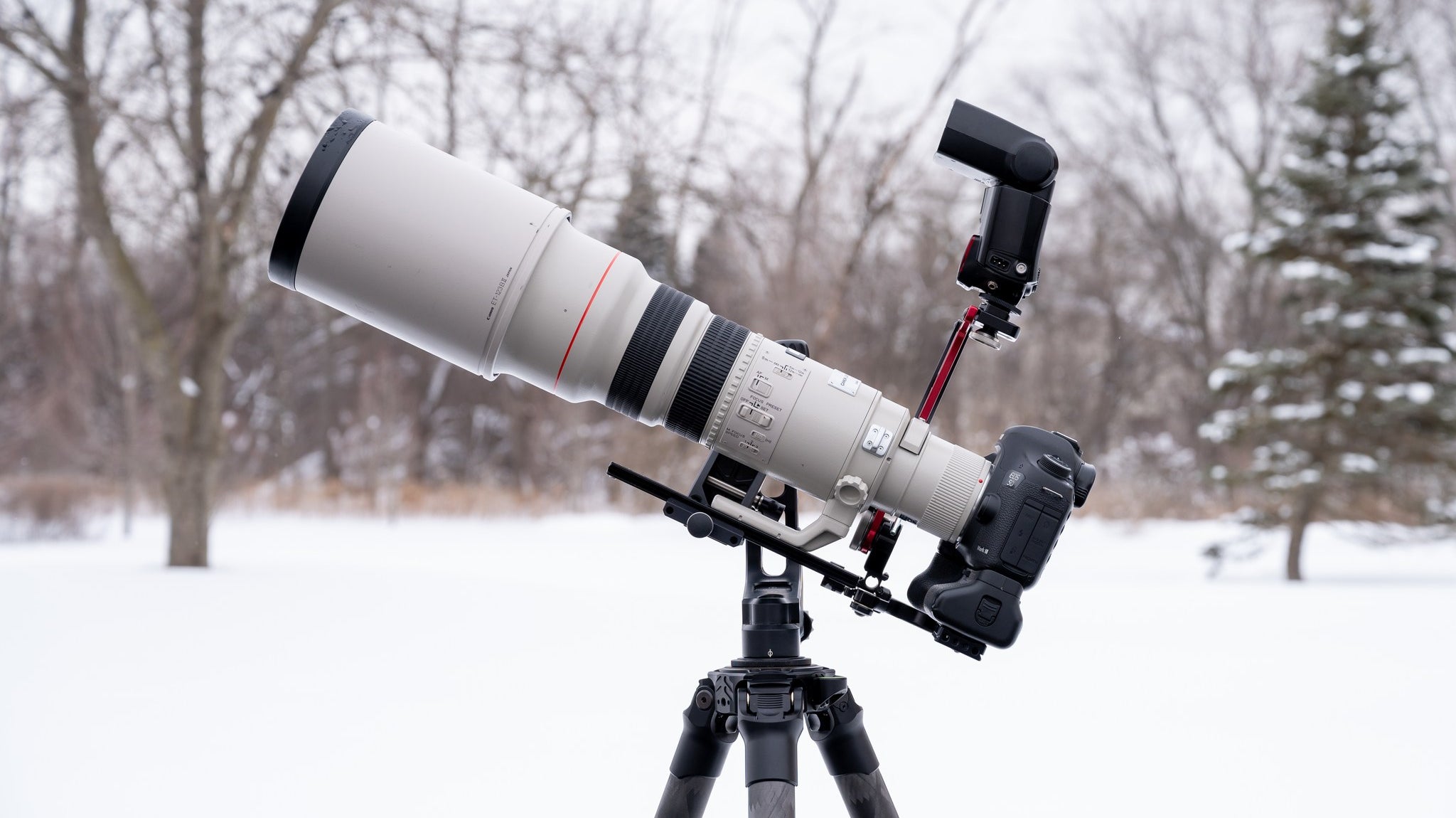 Best Wildlife Photography Lens for Beginners