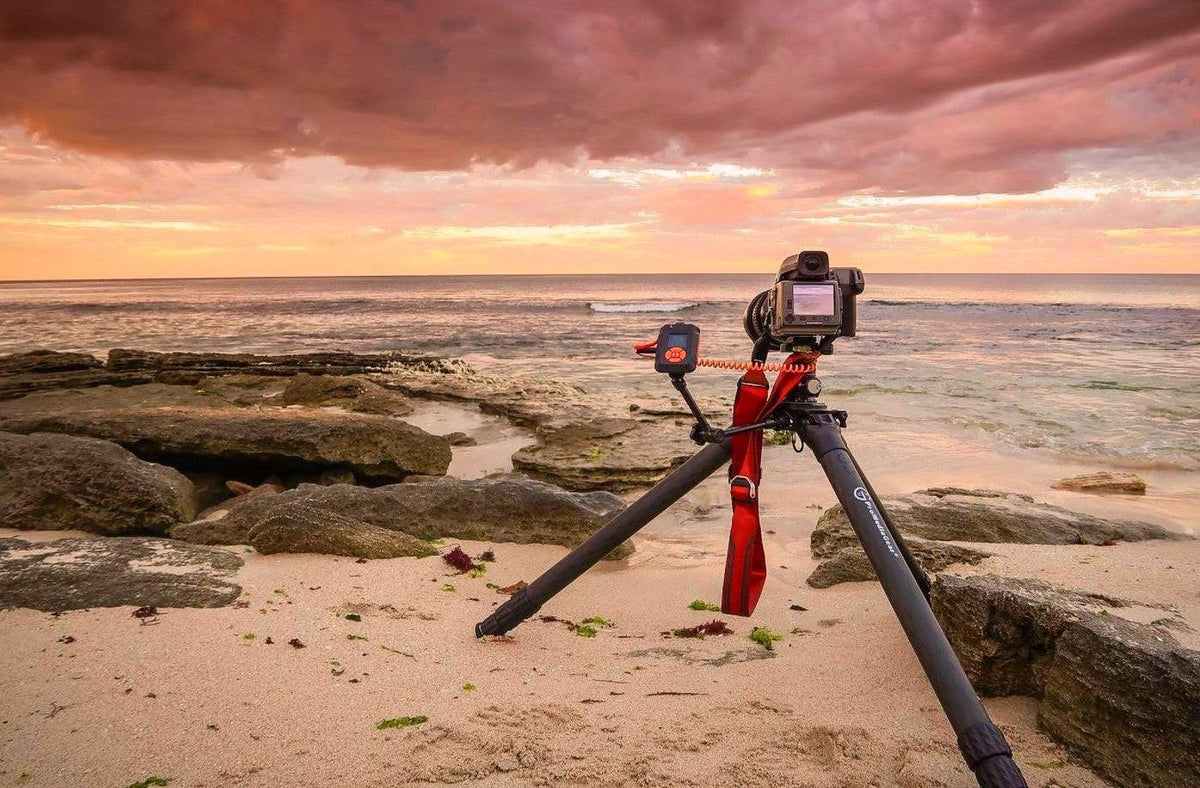 Are Carbon Fiber Tripods Worth It? Should you get one? ProMediaGear