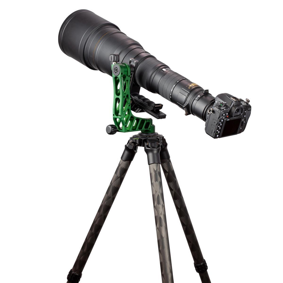 With Nikon D850 and Sigma Superzoom 300-800