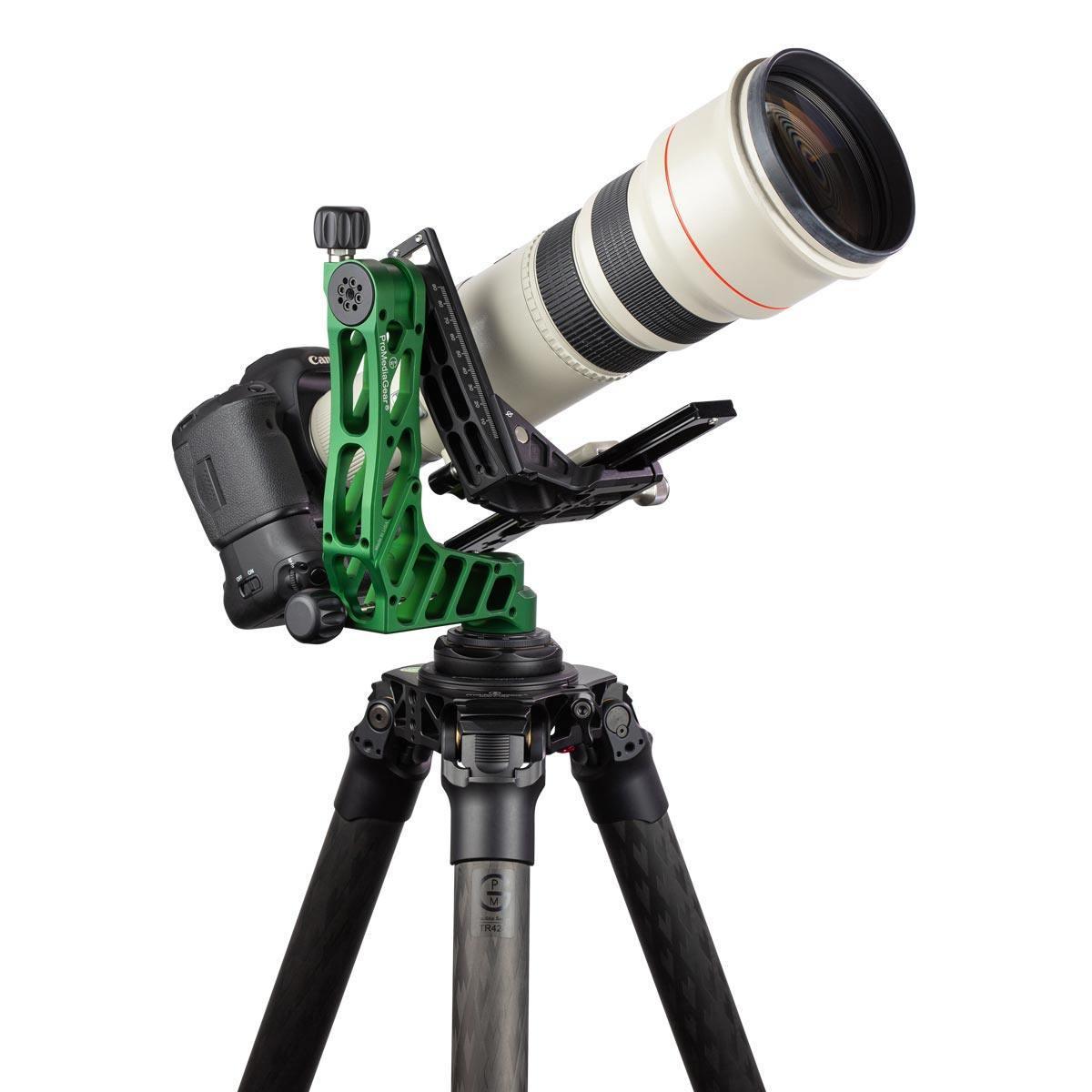 with 500mm F4 canon lens