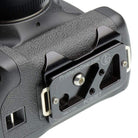 Strap Loops are held in plate by Stop Screws.