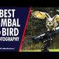 GKJR RED Katana Pro Gimbal Telephoto Lens Support Head